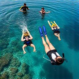 Snorkelers enjoying a guided reef tour
